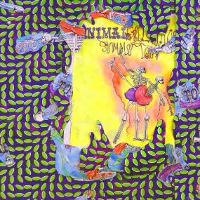 Animal Collective Ballet Slippers Animal Collective Ballet Slippers