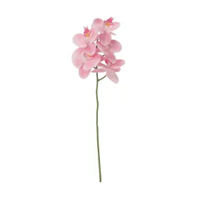 Art Flower Real Touch Phalaenopsis Light Pink Art Flower Real Touch Phalaenopsis Light Pink