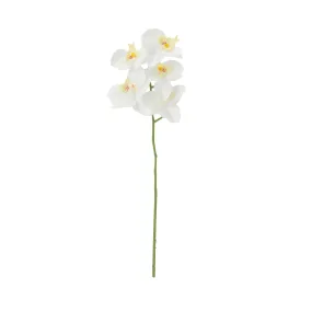 Art Flower Real Touch Phalaenopsis White Art Flower Real Touch Phalaenopsis White
