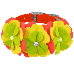 Citrus Flower Collar Citrus Flower Collar