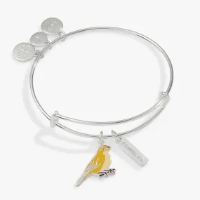 Compassion Yellow Canary Duo Charm Bangle Compassion Yellow Canary Duo Charm Bangle