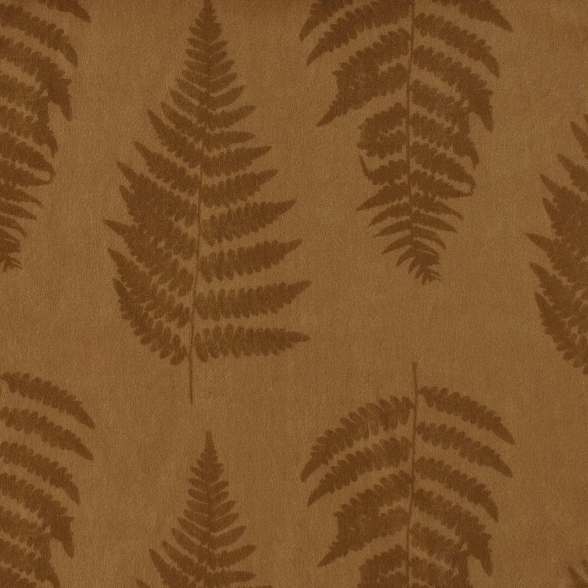Fern Imprints | Boho Chic Ferns