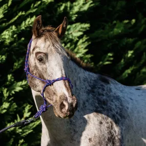 Flair Rope Halter Flair Rope Halter