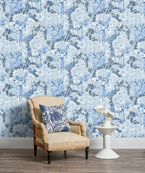 Flannel Flower Blue Wallpaper Flannel Flower Blue Wallpaper