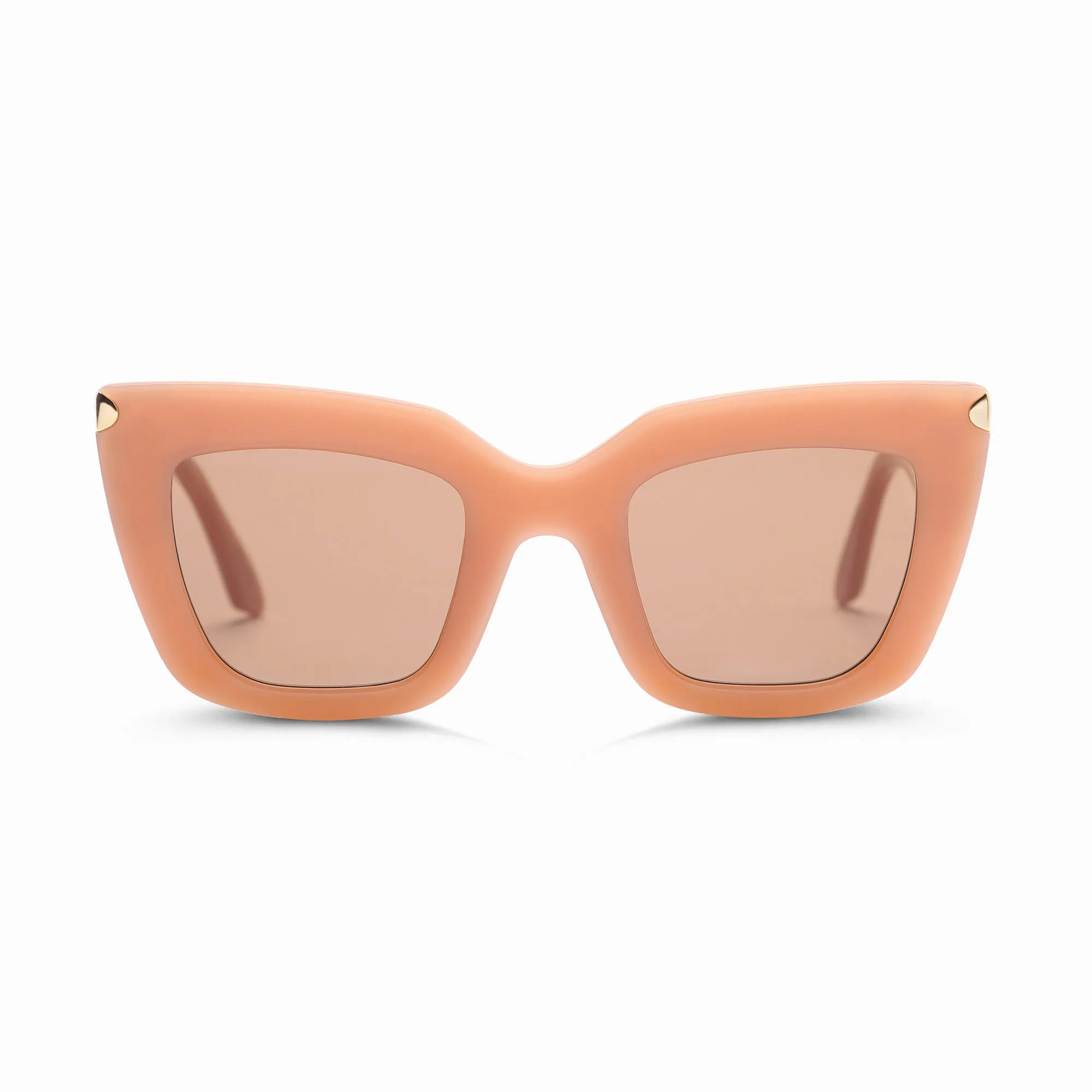 Fonda Sunglasses In Blush