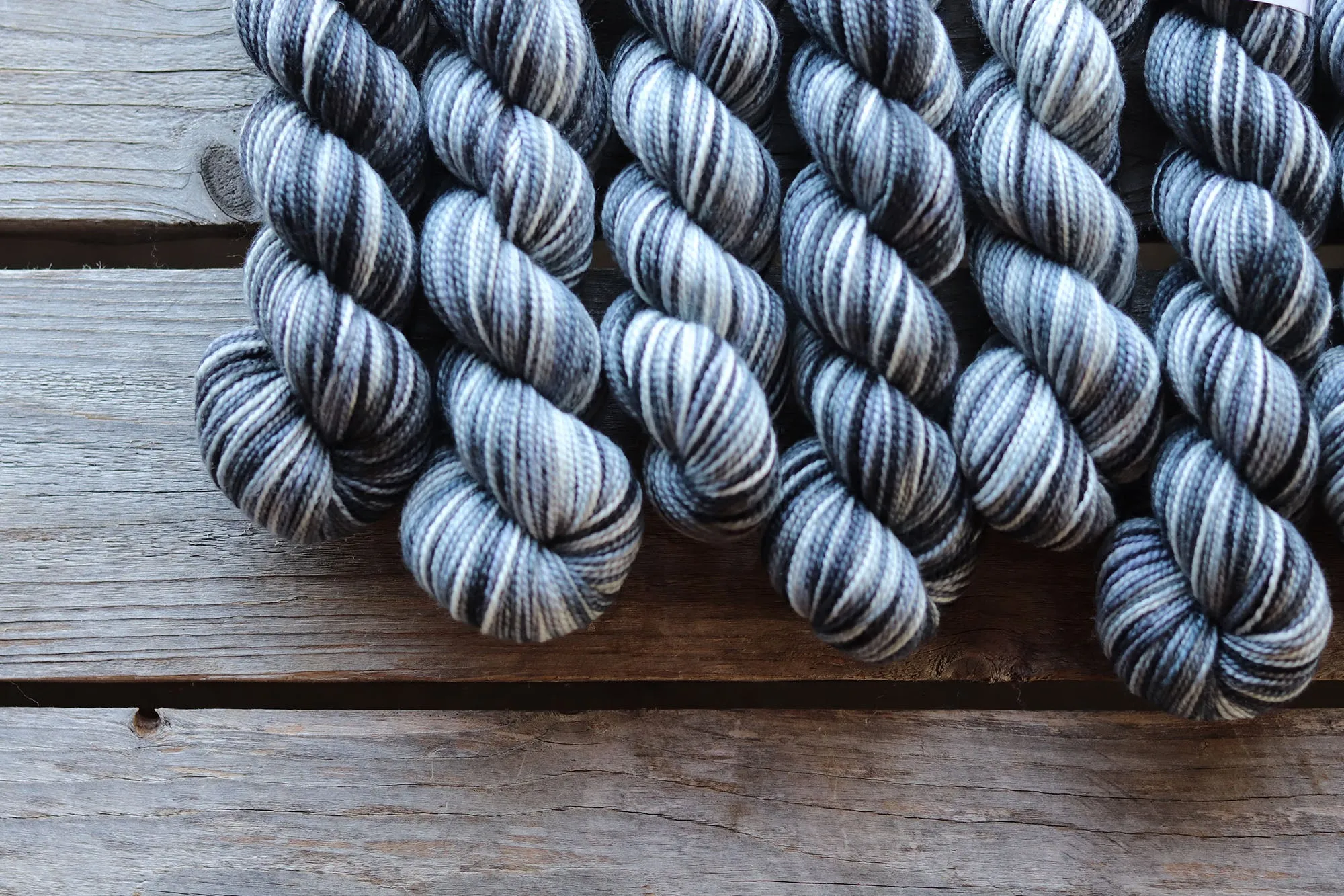 Koigu Collector's Colourway