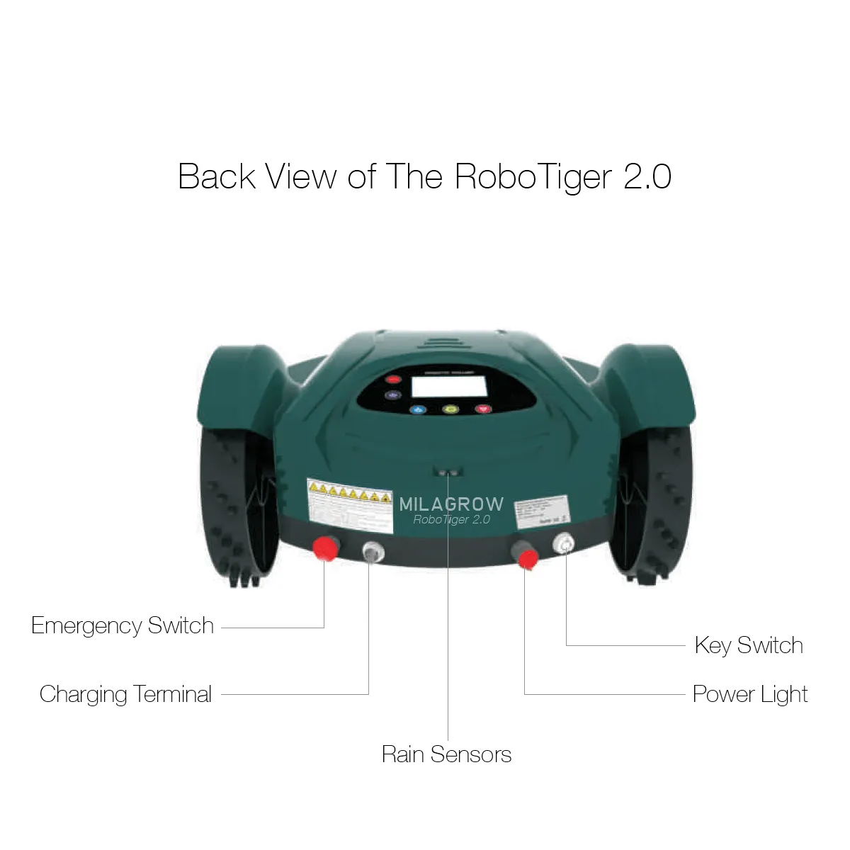RoboTiger 2.0