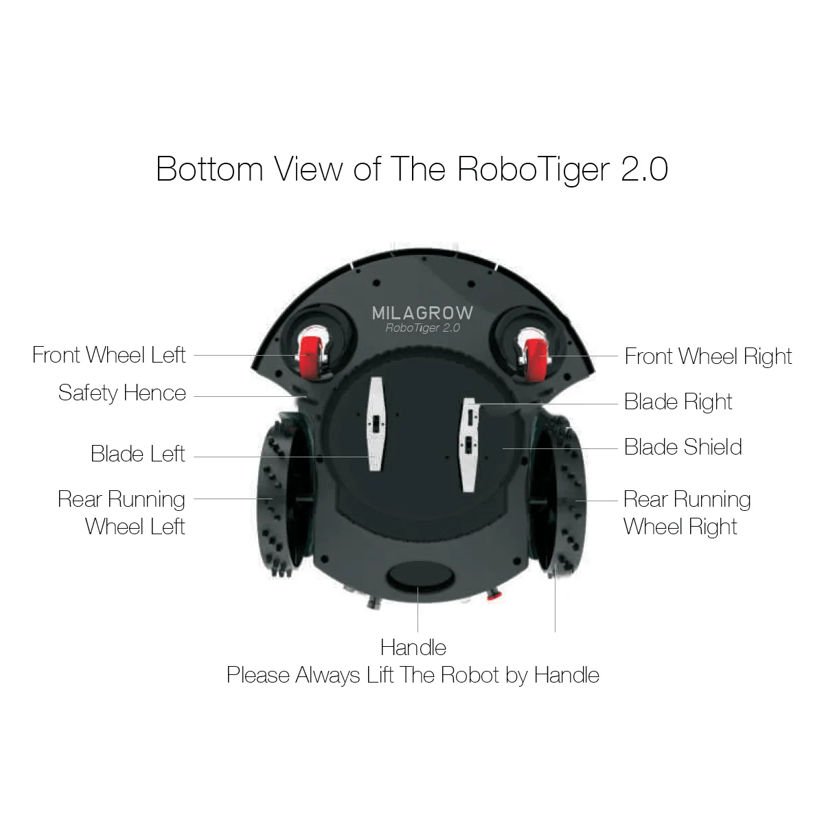 RoboTiger 2.0